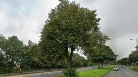 Google Dual carriageway with trees on the grass-covered central reservation.